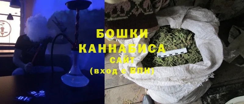 Каннабис конопля  Ветлуга 